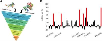 Discovery of novel IDH1-R132C inhibitors through <mark class="highlighted">structure-based virtual screening</mark>
